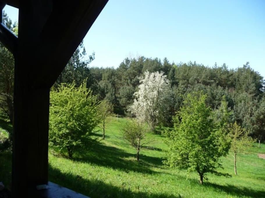 Дома для отпуска Eco-farm Forest Tranquillity Sulicice-22