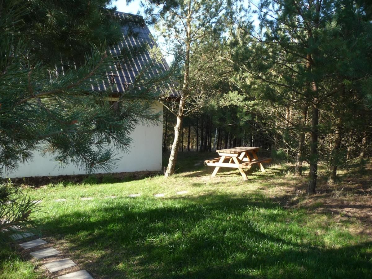 Дома для отпуска Eco-farm Forest Tranquillity Sulicice-25