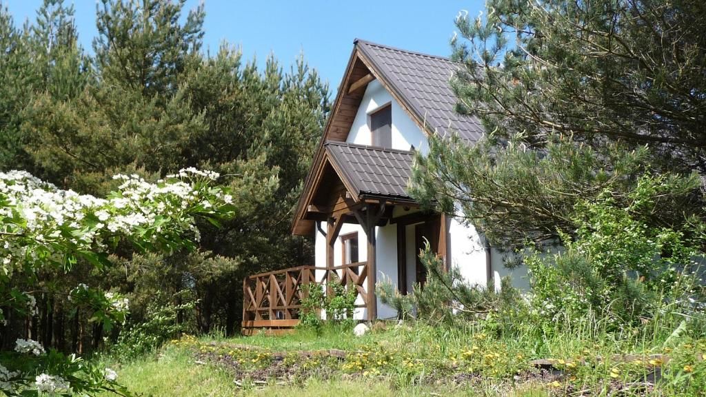 Дома для отпуска Eco-farm Forest Tranquillity Sulicice-34