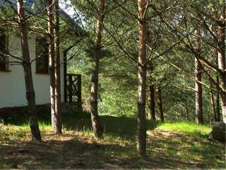 Дома для отпуска Eco-farm Forest Tranquillity Sulicice Дом для отпуска-9