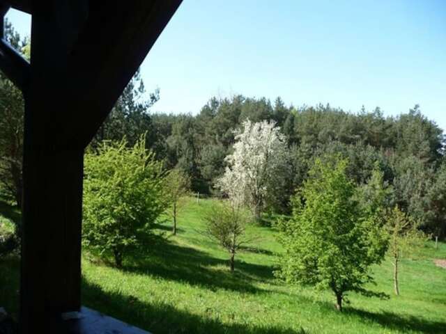 Дома для отпуска Eco-farm Forest Tranquillity Sulicice-46